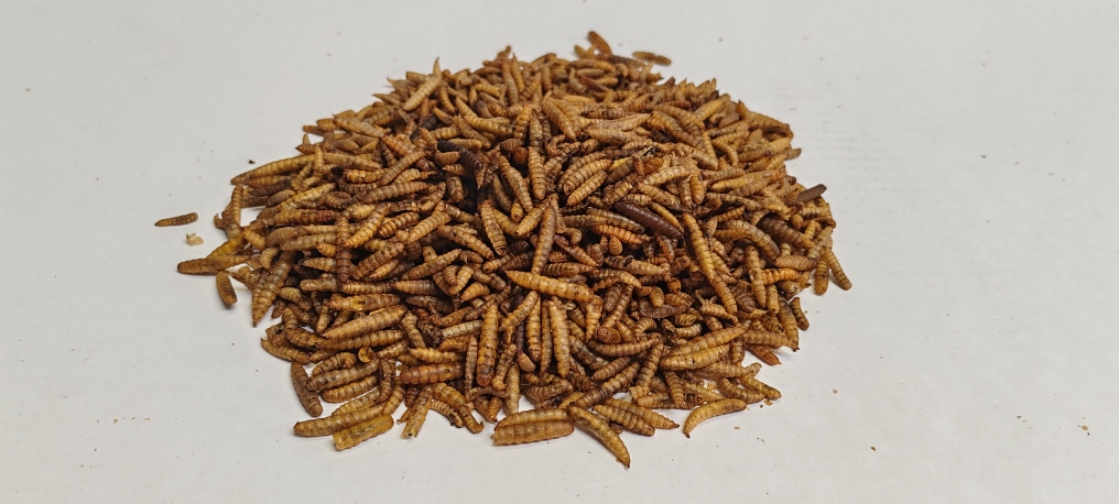 Dried Calciworms