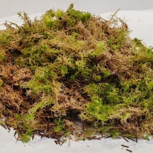 SPHAGNUM MOSS BEDDING